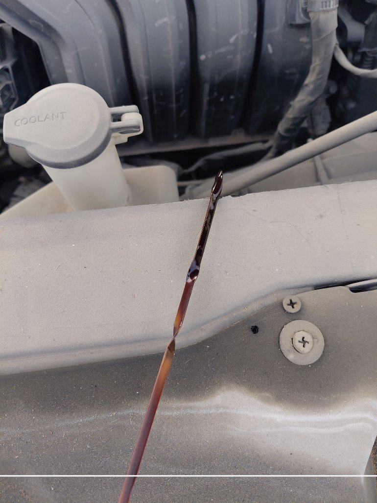 Hyundai Elantra FLEET 2023 image