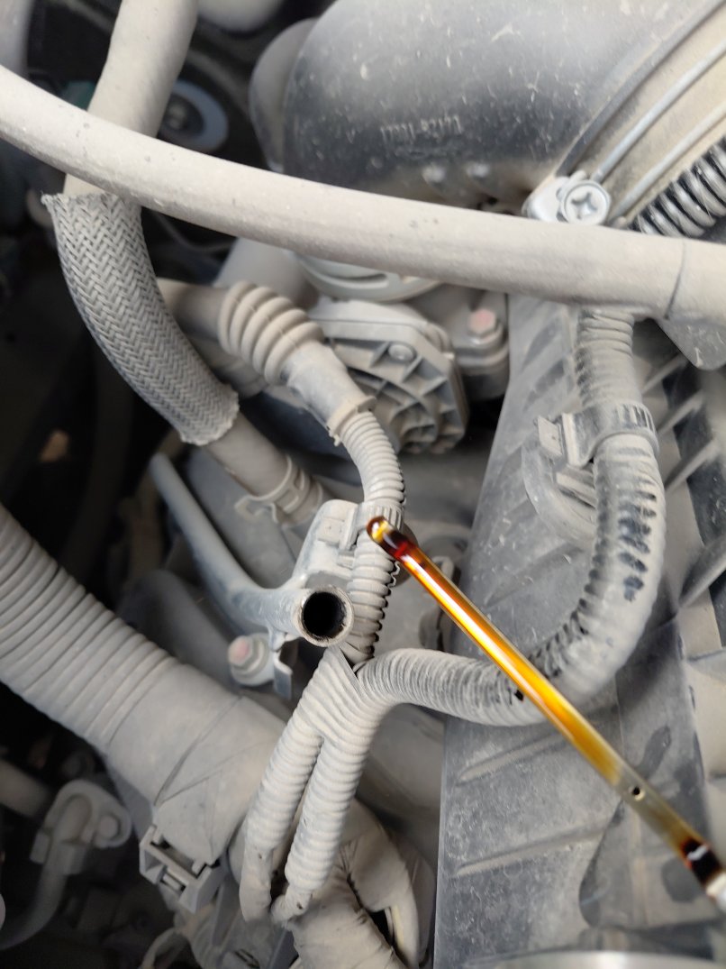 تويوتا راش STD 75 2021 image