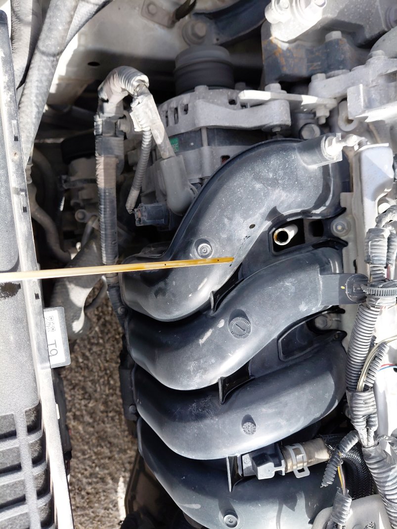 Toyota Corolla XLI EXECUTIVE M/R  2020 image