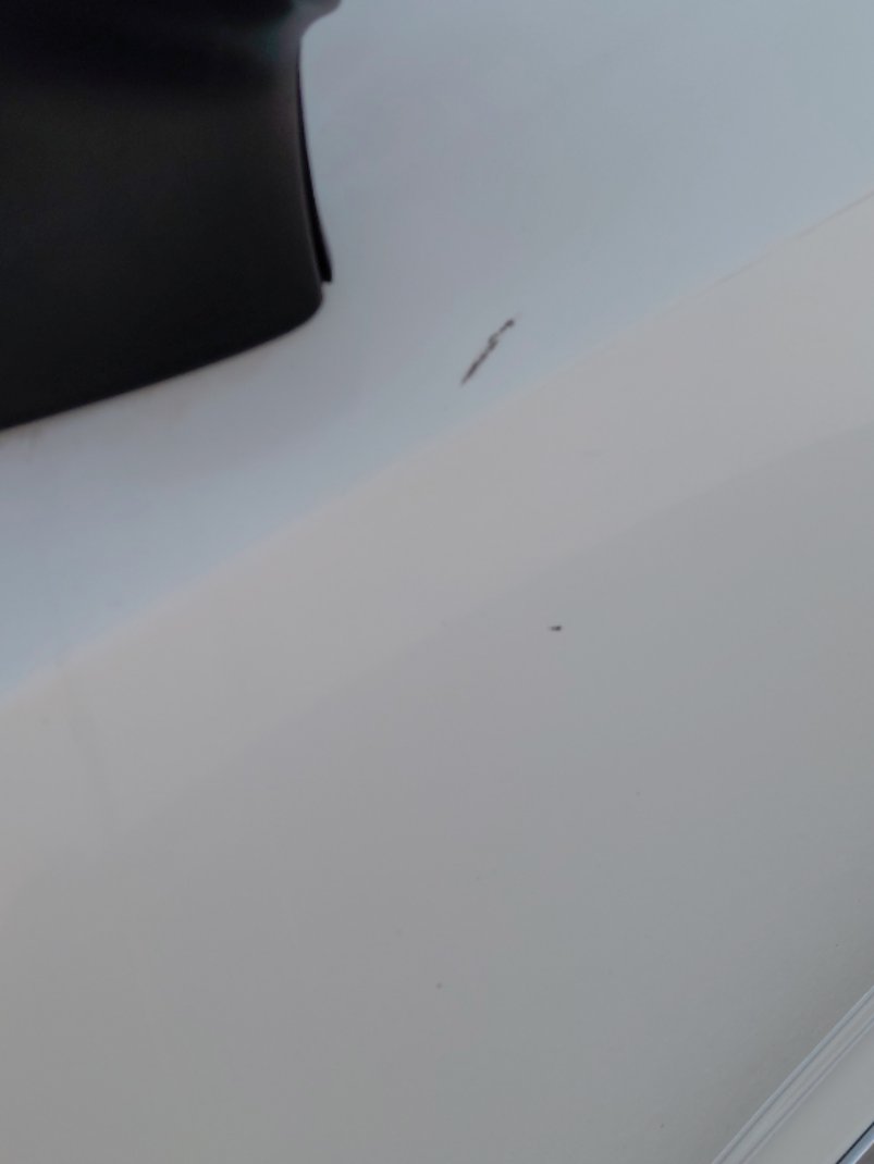 Toyota Corolla XLI EXECUTIVE M/R  2020 image