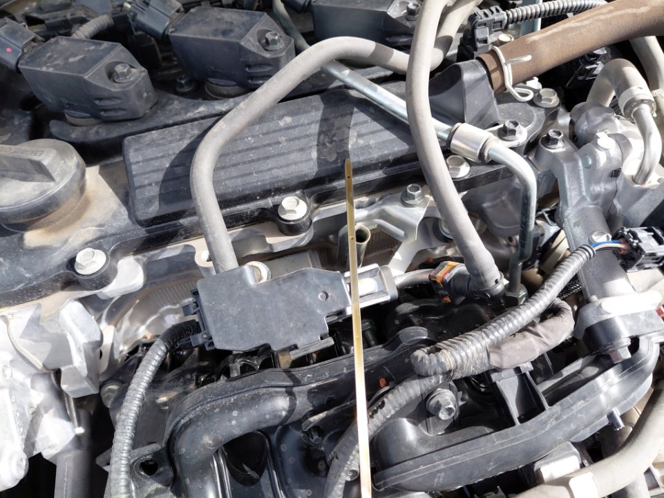 Toyota Corolla XLI EXECUTIVE M/R  2022 image