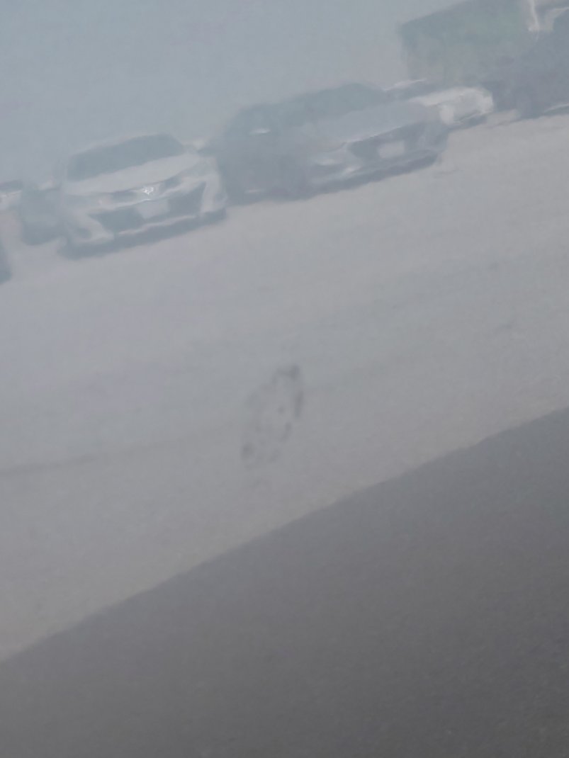 Toyota Corolla XLI EXECUTIVE M/R  2022 image