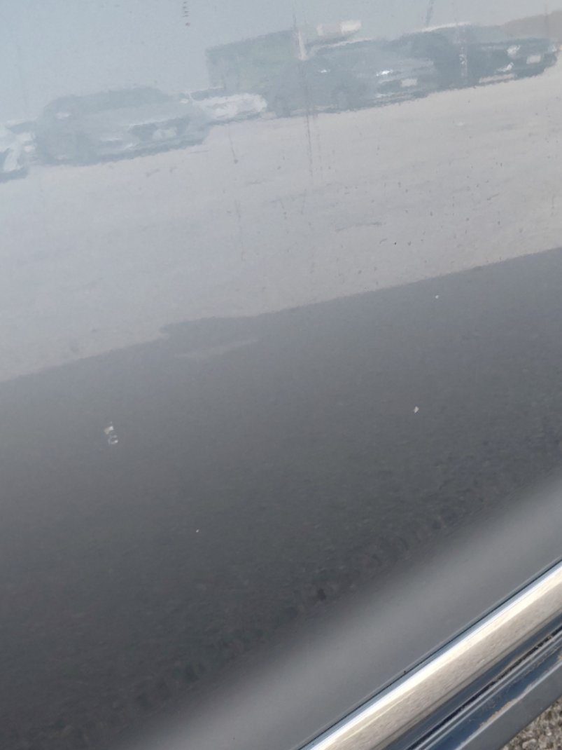 Toyota Corolla XLI EXECUTIVE M/R  2022 image