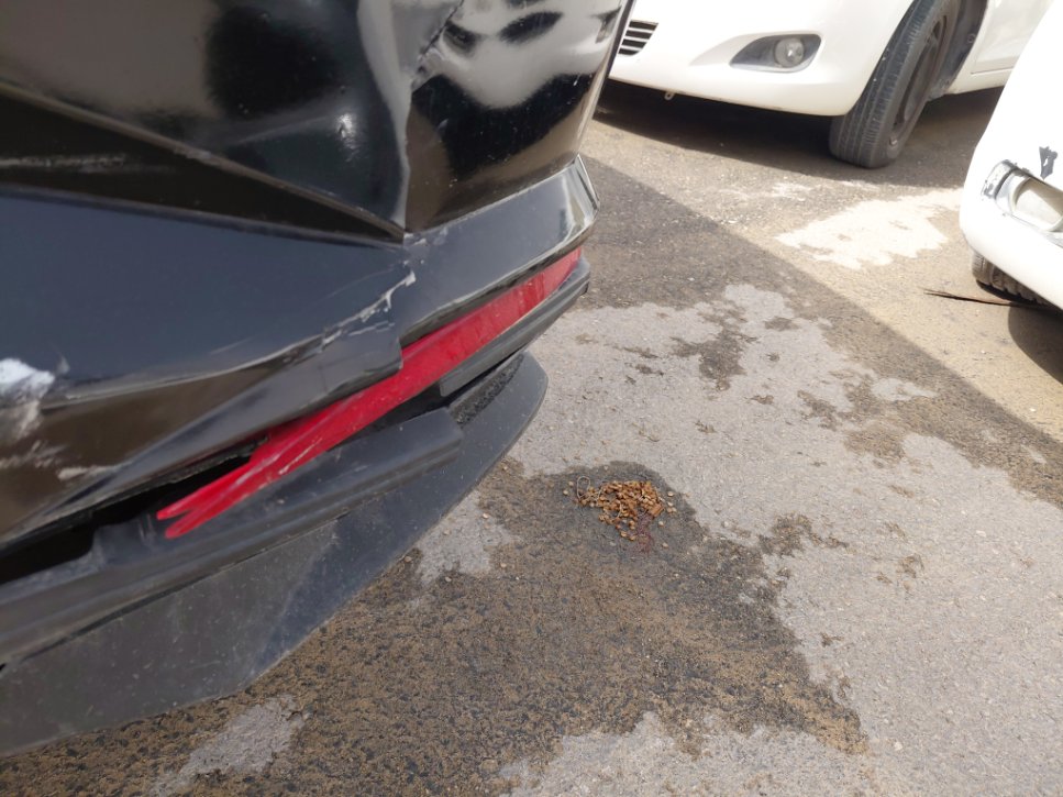 هيونداي إلنترا GL 2023 image