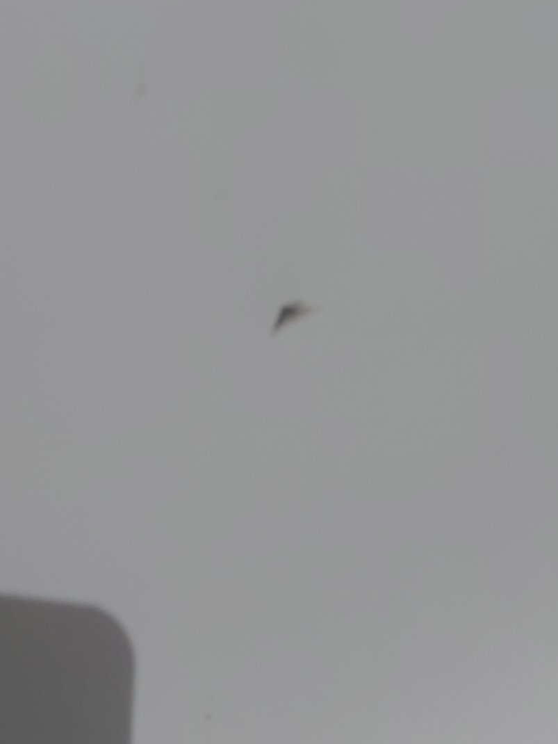 تويوتا هايلكس SGLX 2022 image