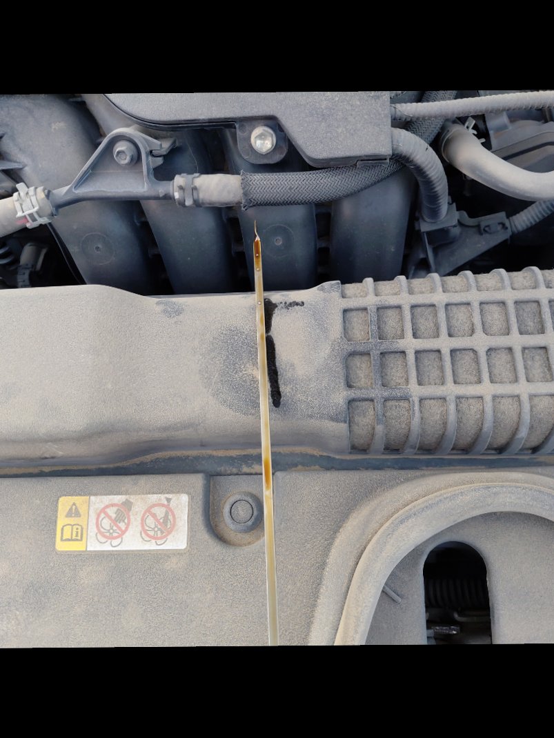 Toyota Corolla  2024 image