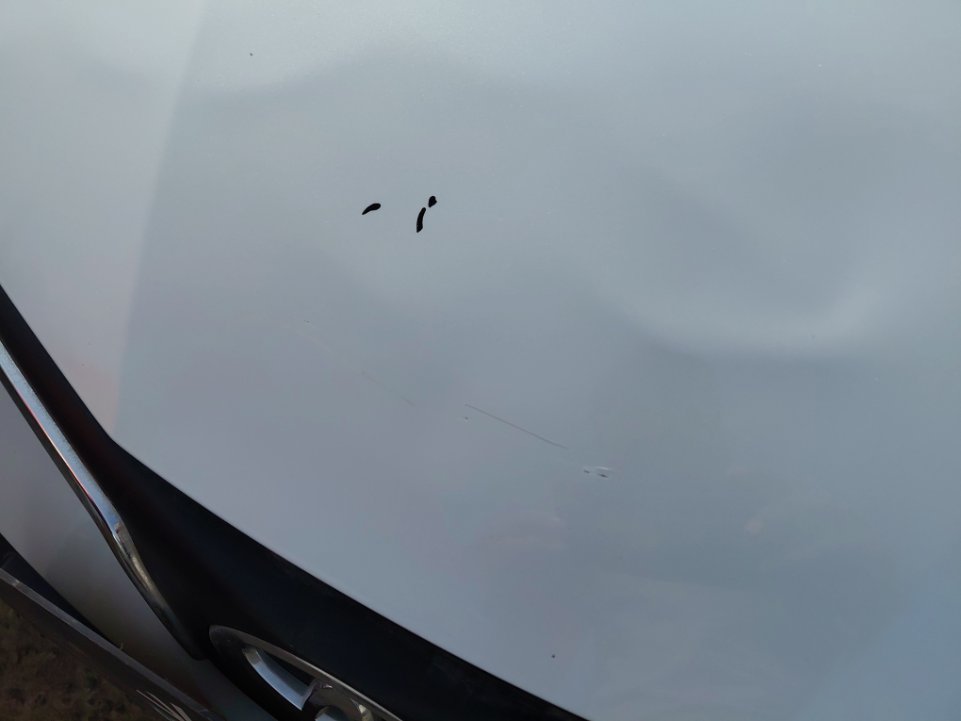 Toyota Corolla  2024 image