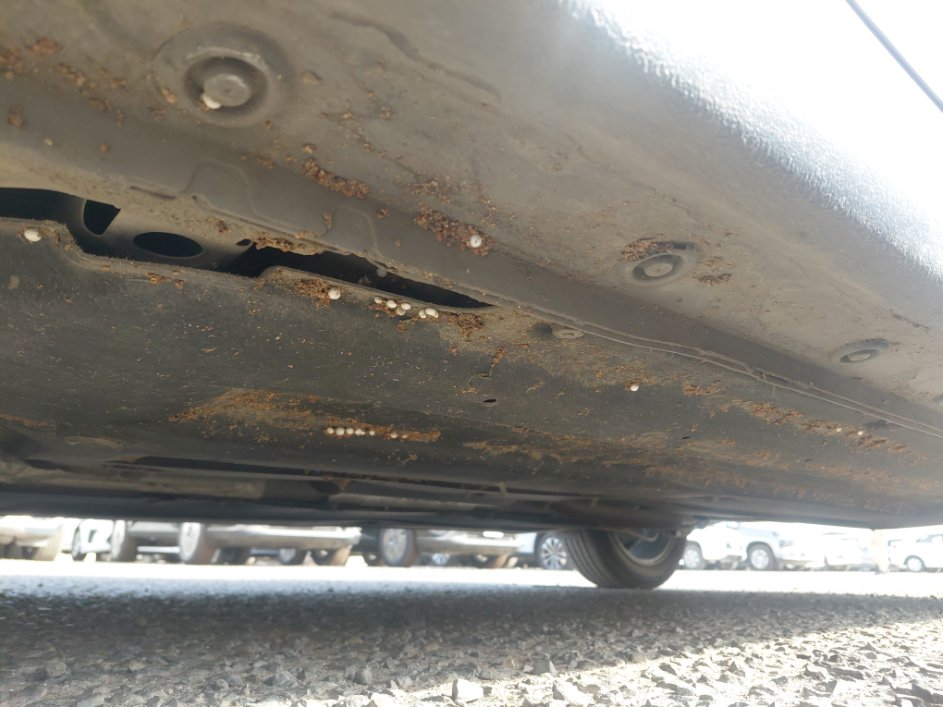 Hyundai Elantra  2023 image