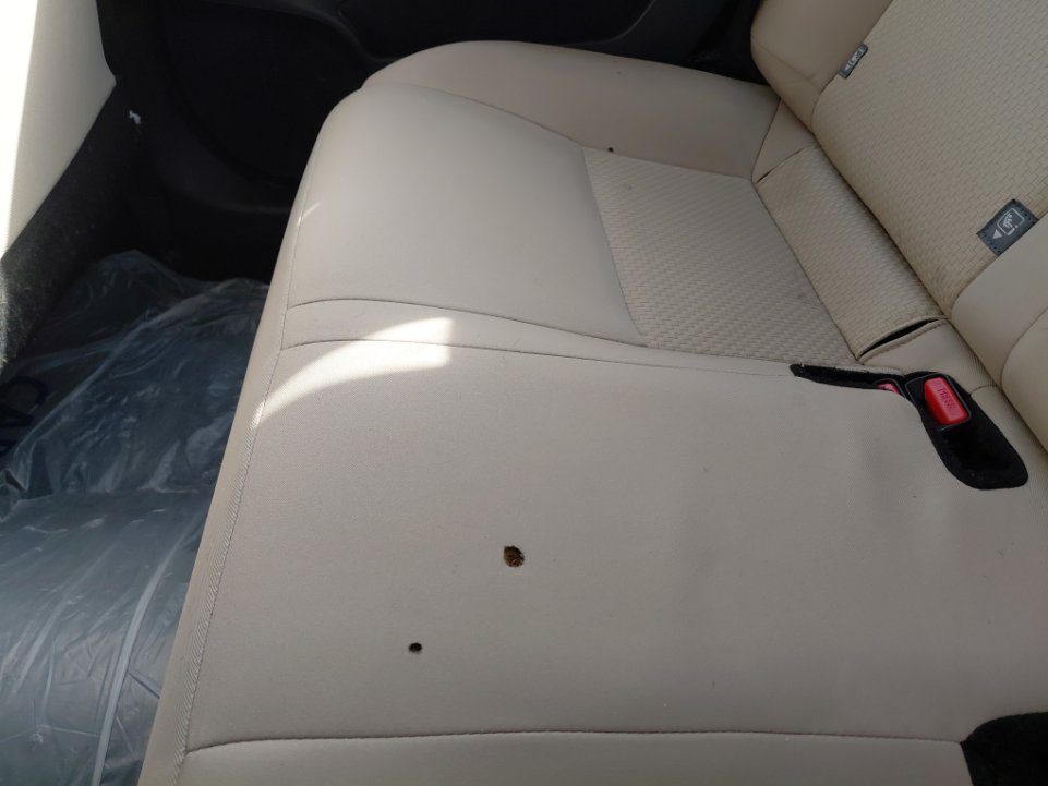 Toyota Yaris  2023 image