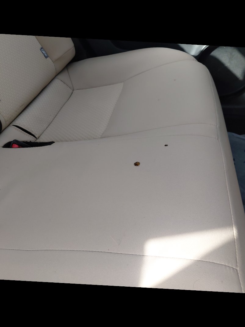 Toyota Yaris  2023 image