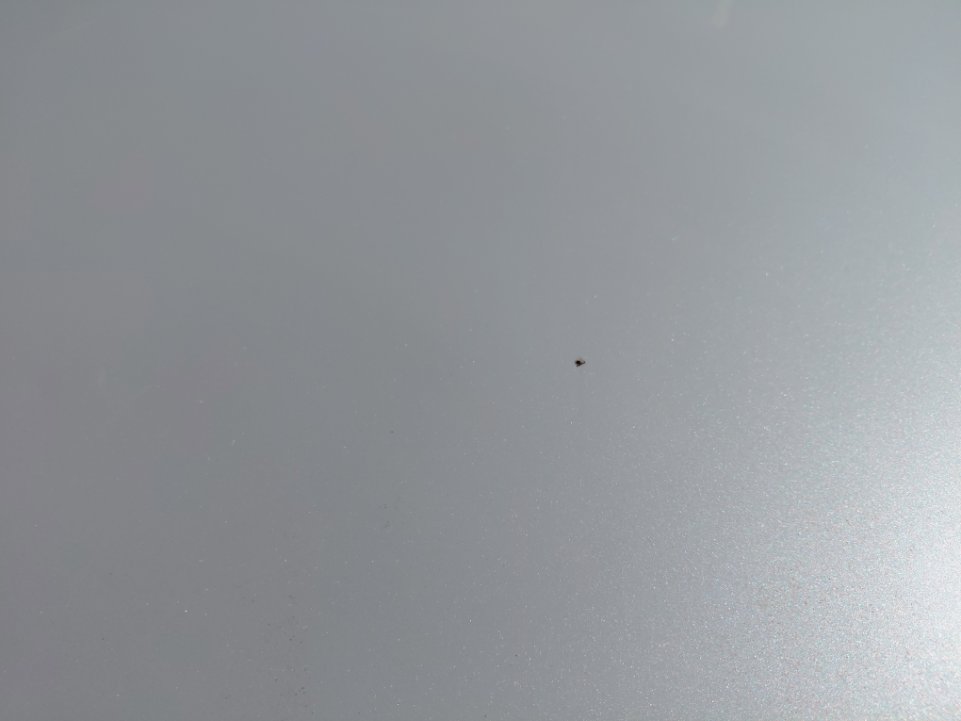 Toyota Yaris  2023 image