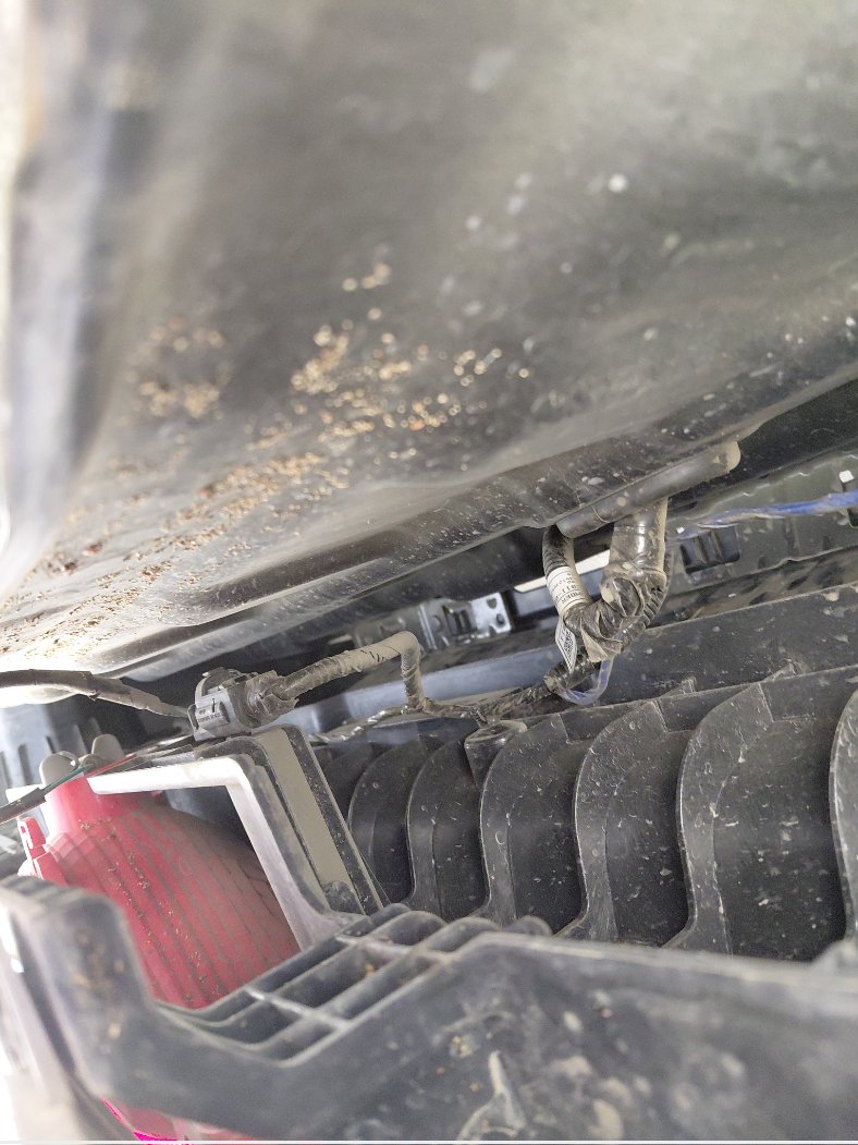 كيا سوينت QY LX FWD 2023 image