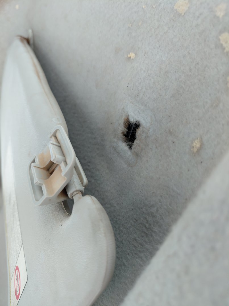 دايهاتسو تريوس  2008 image