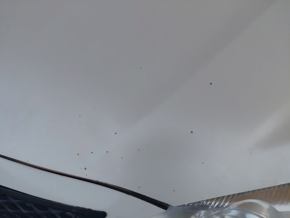 تويوتا كامري  2011 image