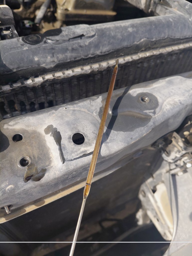 دايهاتسو تريوس  2010 image