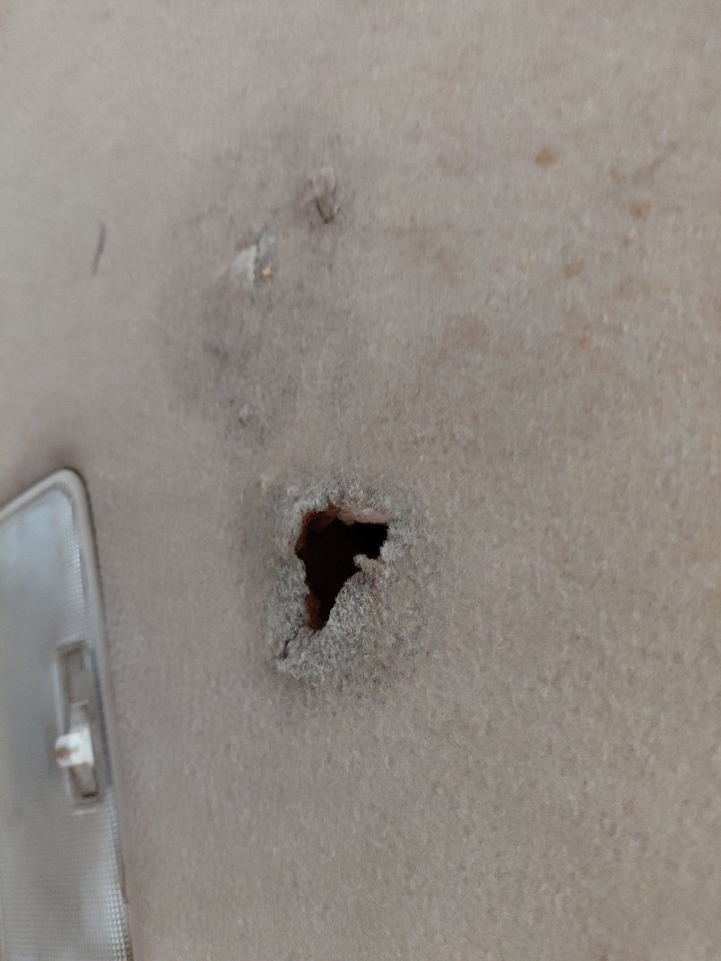 تويوتا كورولا  2020 image