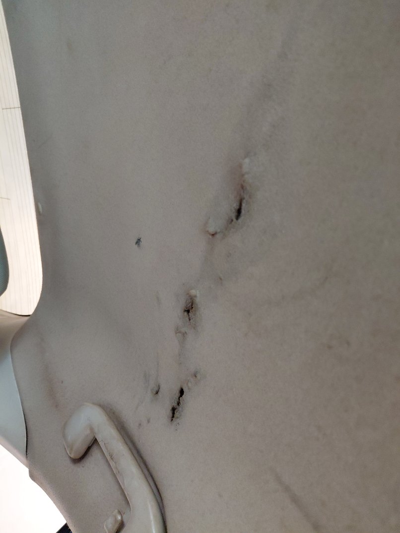 تويوتا كورولا  2020 image