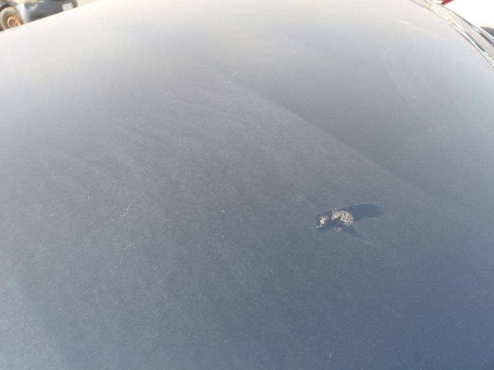 مازدا CX9  2023 image