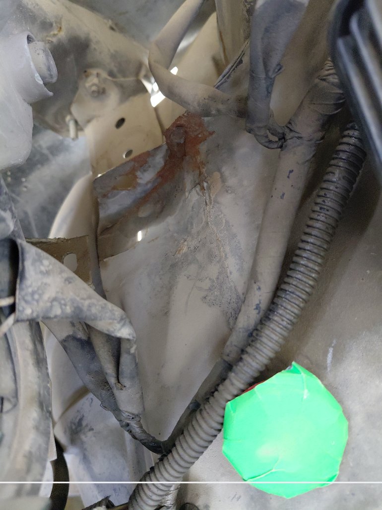 دايهاتسو تريوس  2010 image