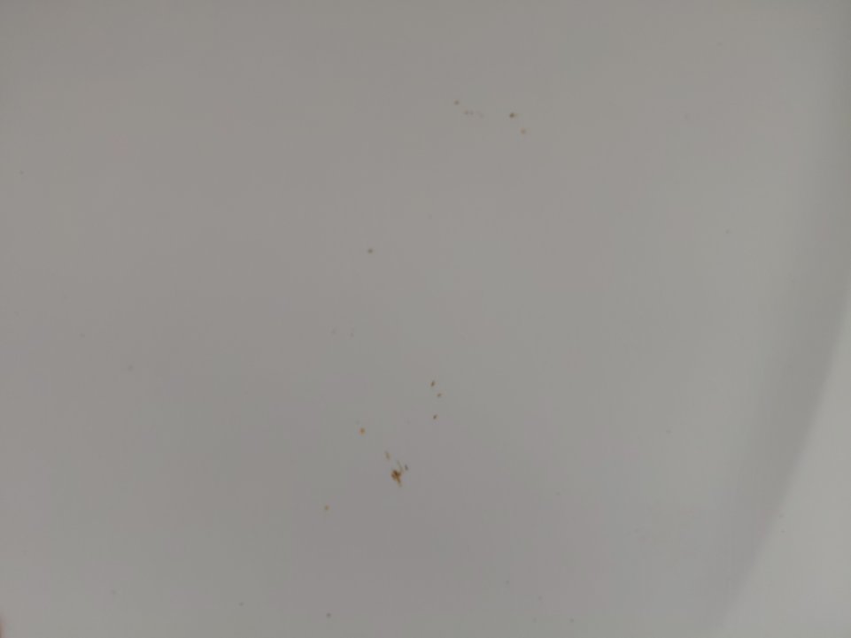 تويوتا كامري  2010 image