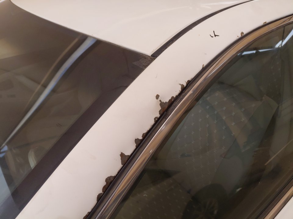 تويوتا كامري  2010 image