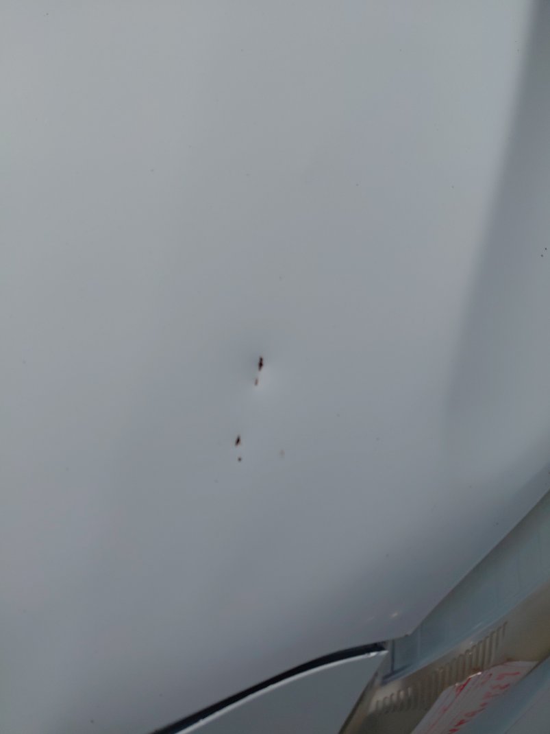 تويوتا كورولا  2008 image