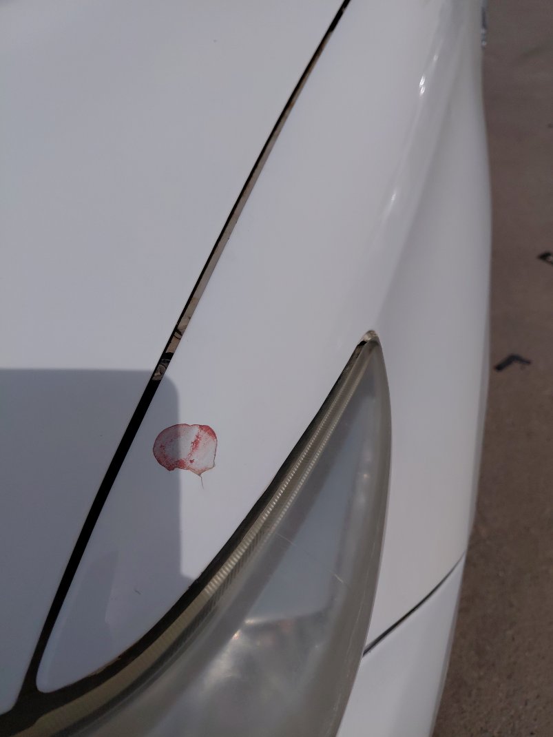 تويوتا هايلكس  2012 image