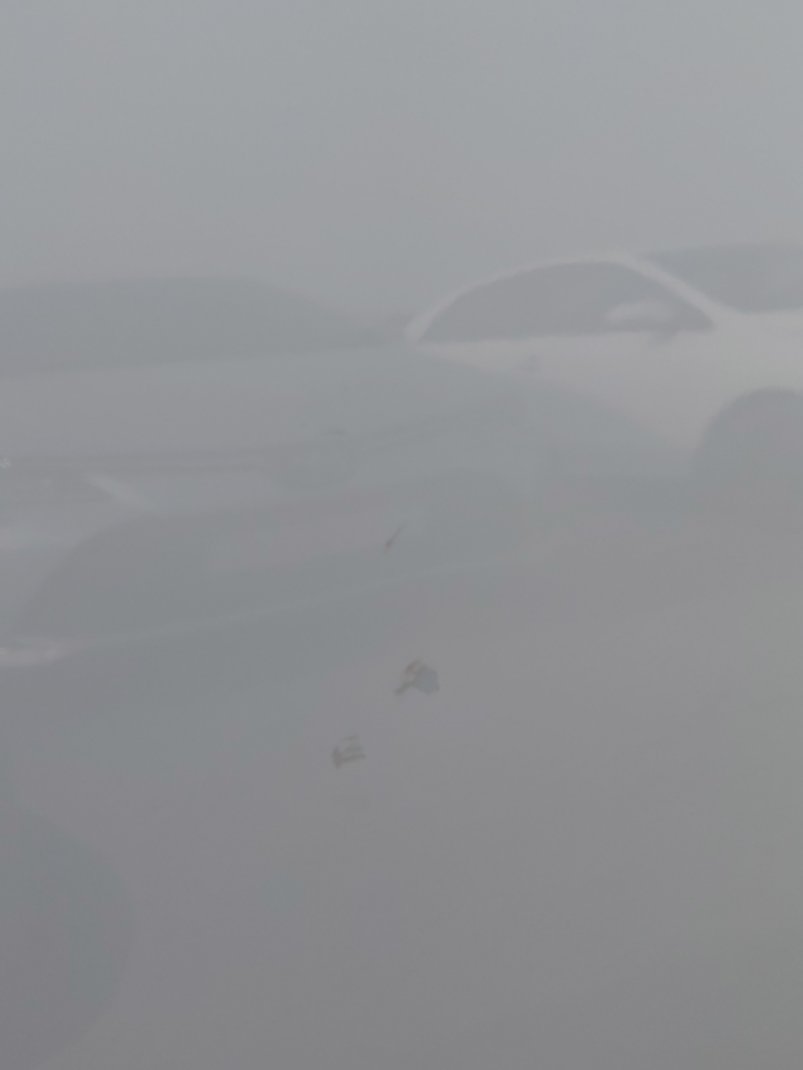 Hyundai SantaFe  2021 image