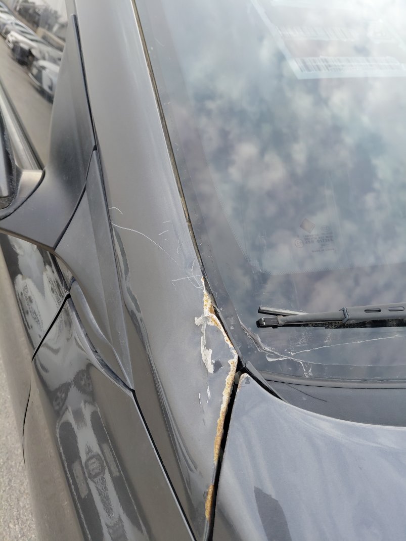 Hyundai Accent  2022 image