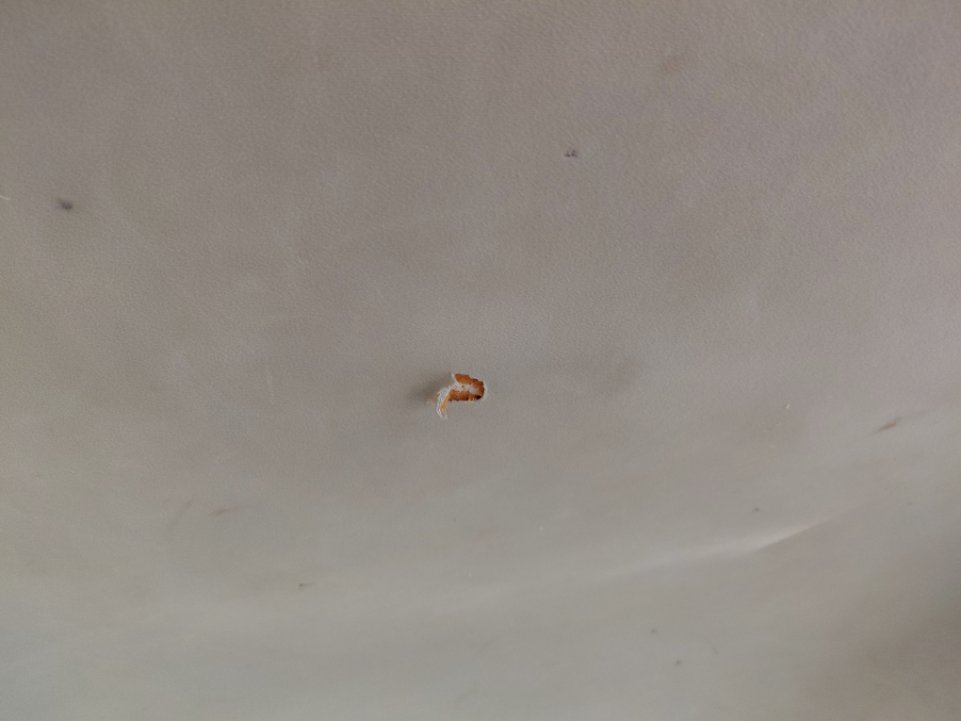 تويوتا كامري  2011 image