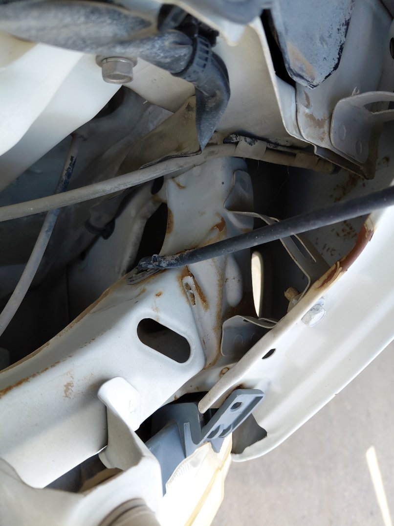 دايهاتسو دباب  2011 image