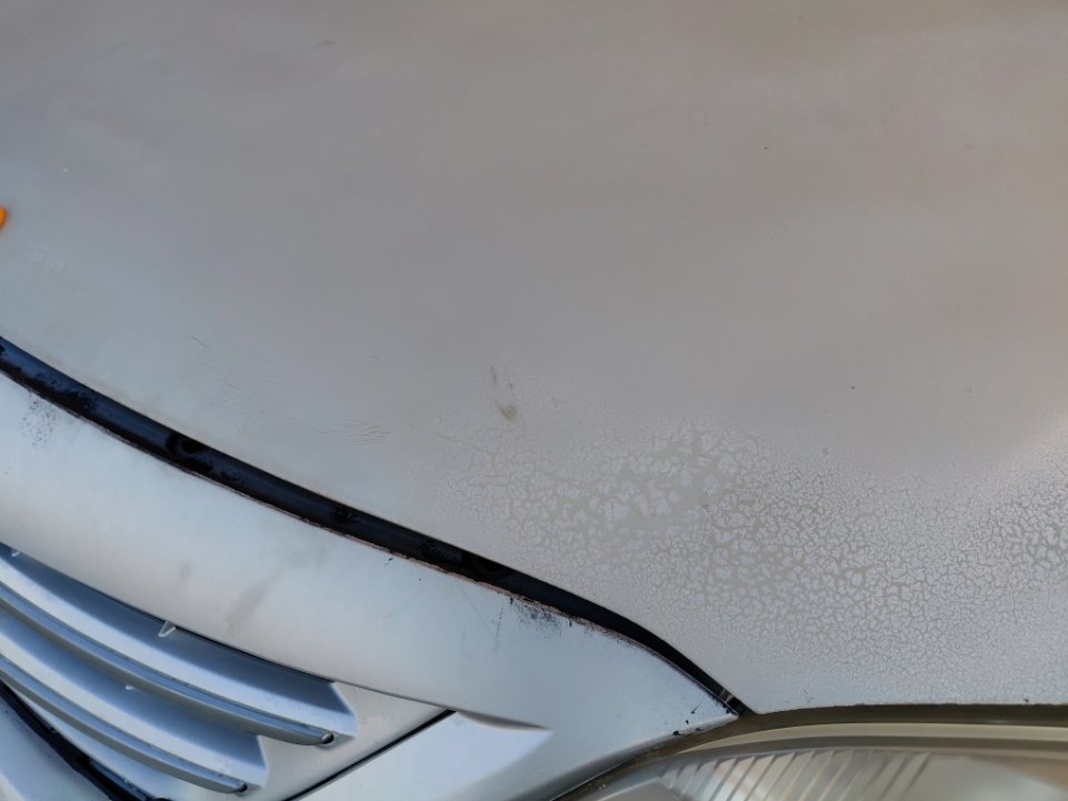 تويوتا كورولا  2011 image