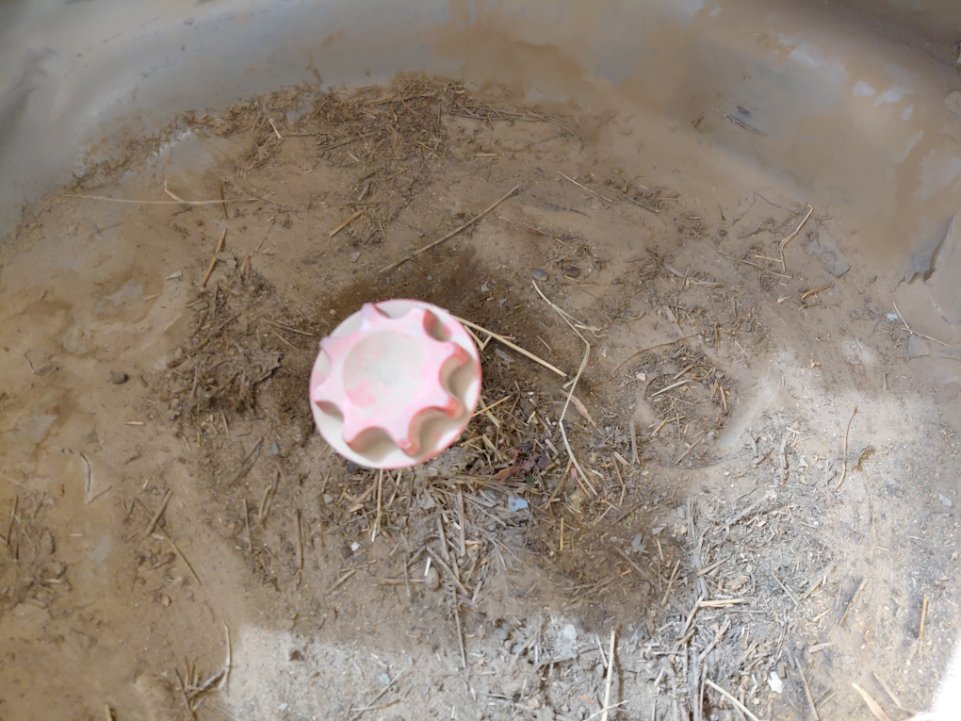 تويوتا كورولا  2012 image