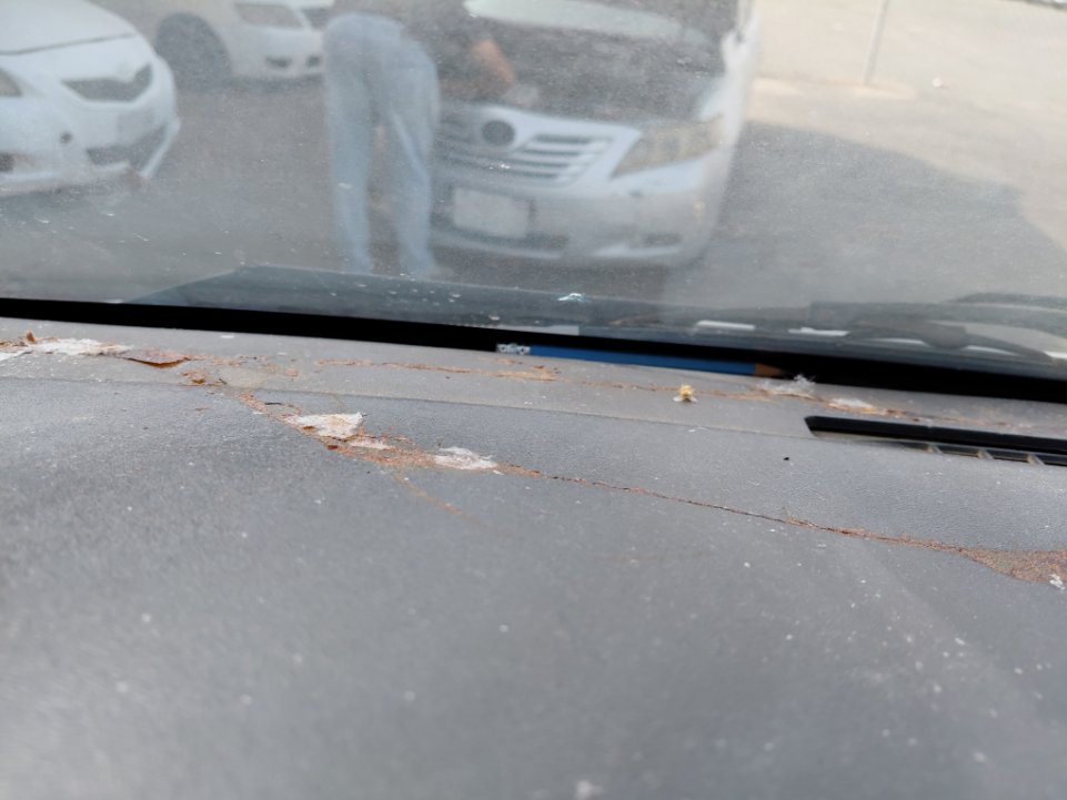 تويوتا هايس  2010 image