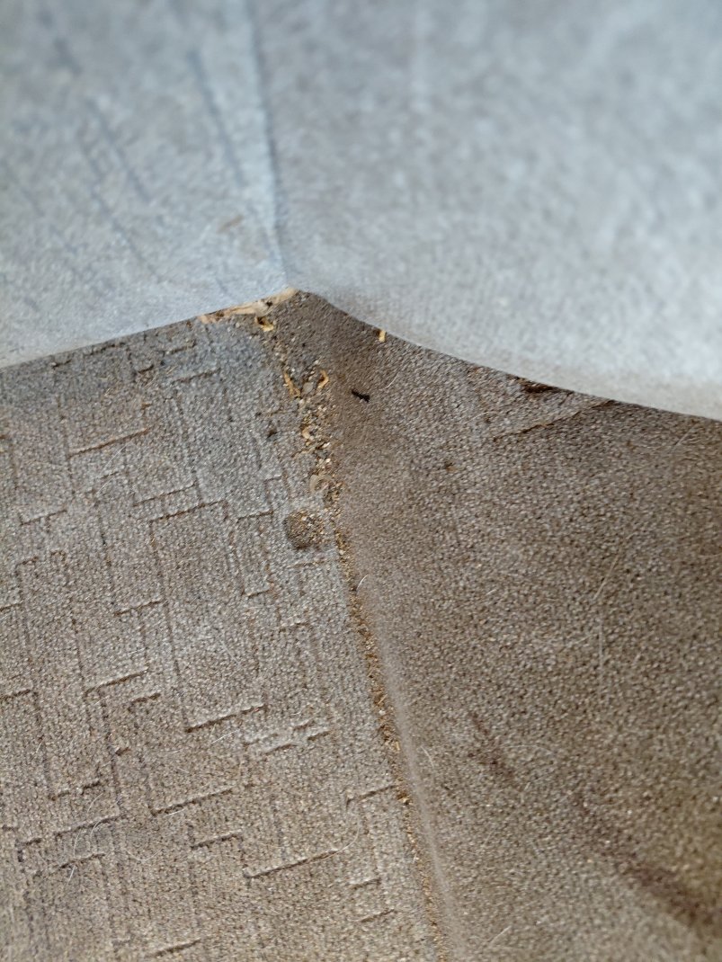 تويوتا كامري  2006 image