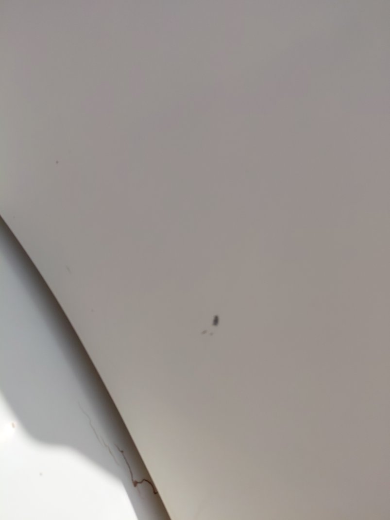 مان TGS 19.440 رأس تريلا حمولة المركبة 2 طن 2013 image