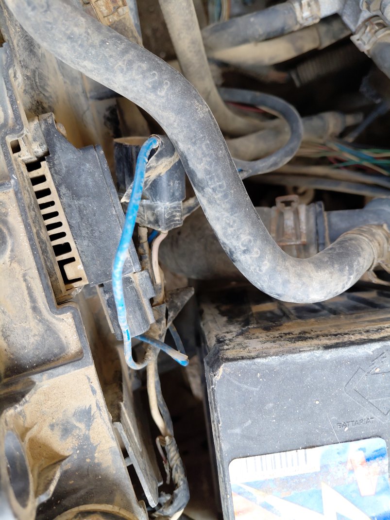 تويوتا كورولا  2011 image