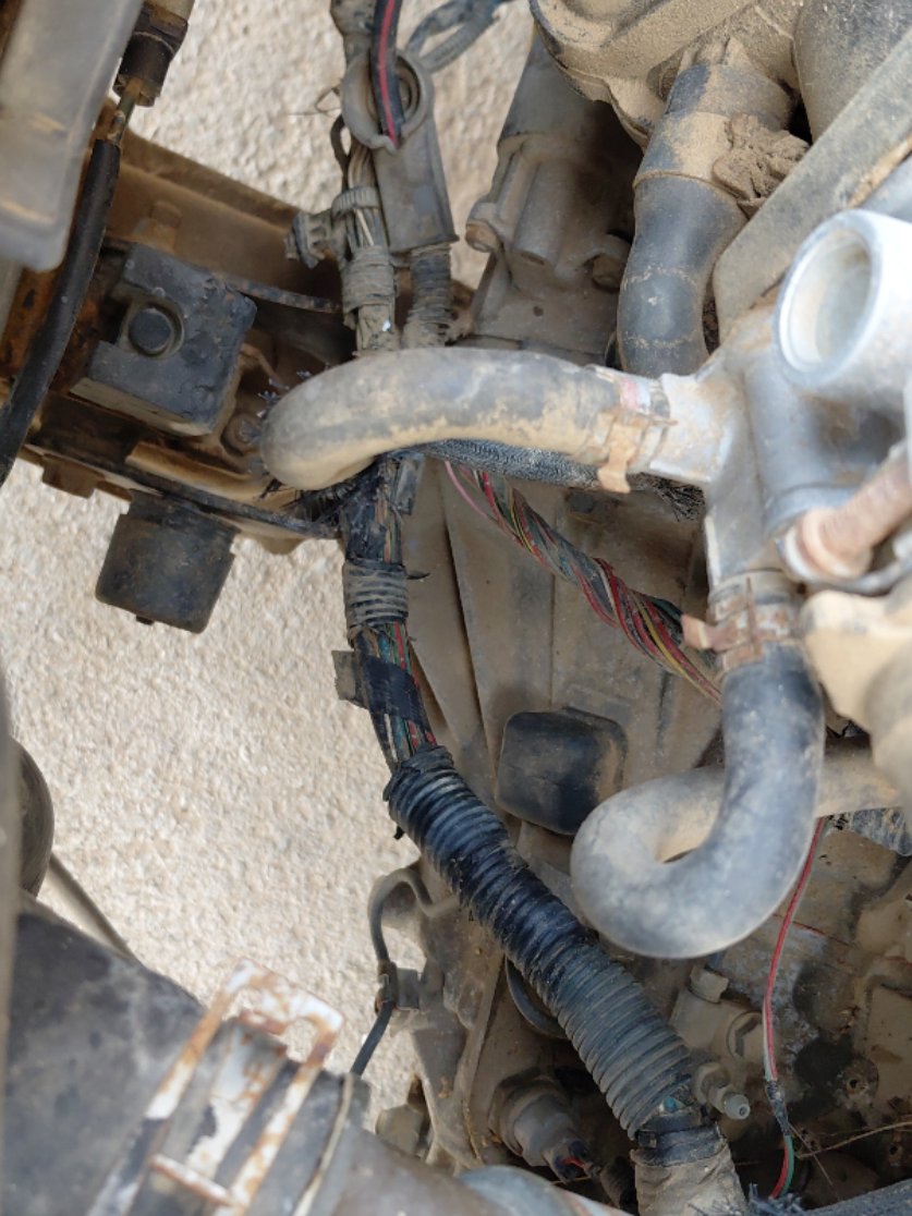 تويوتا كورولا  2011 image