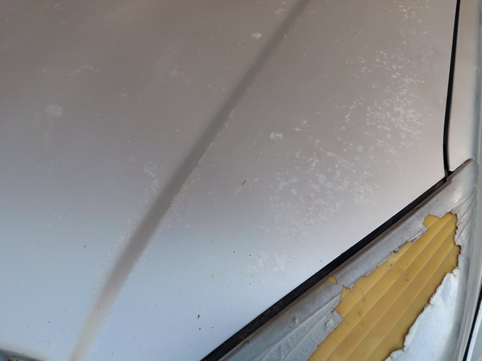 تويوتا برادو  2005 image