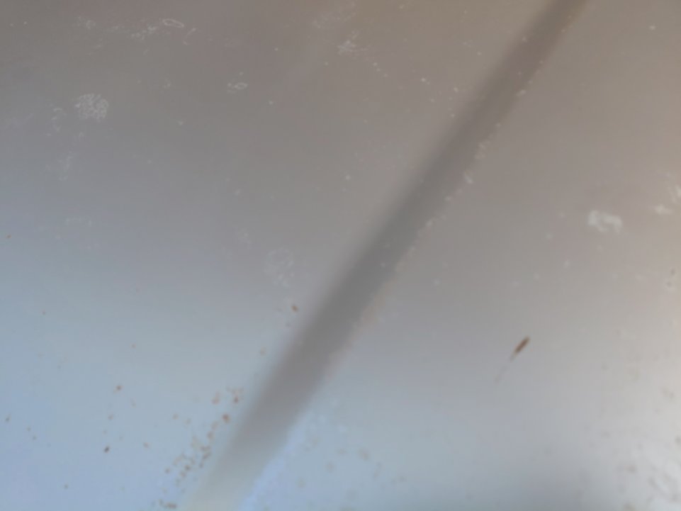 تويوتا برادو  2005 image