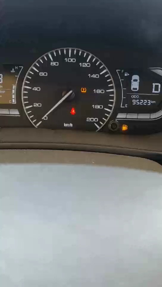 شانجان السفن فل كامل 2024 video
