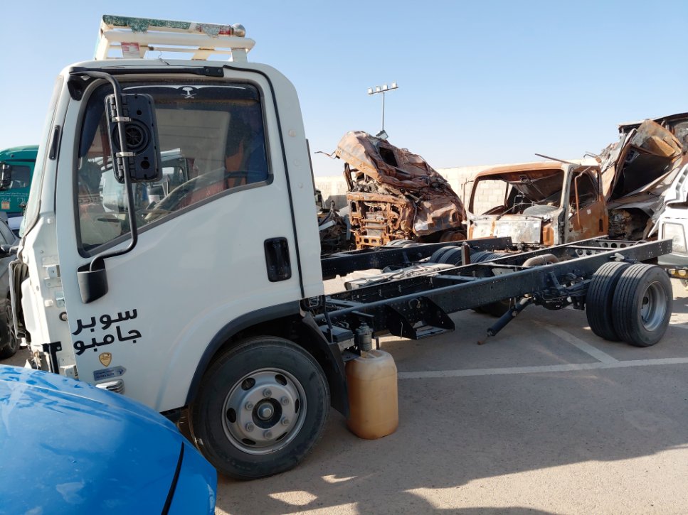 ايسوزو ديينا  2024 image