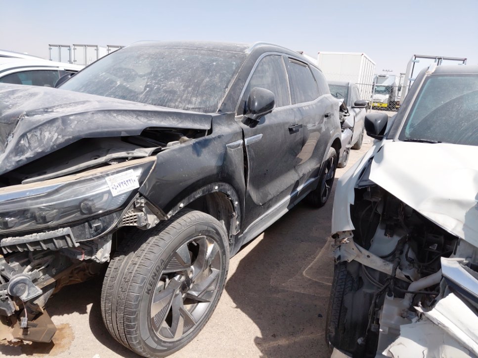 بايك اكس 7  2022 image