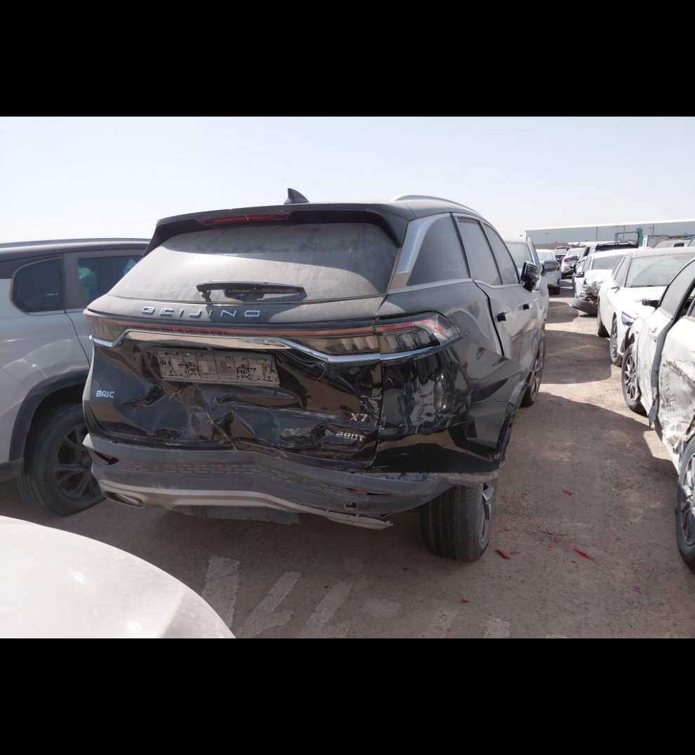 بايك اكس 7  2022 image