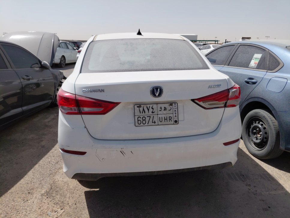 شانجان السفن  2026 image