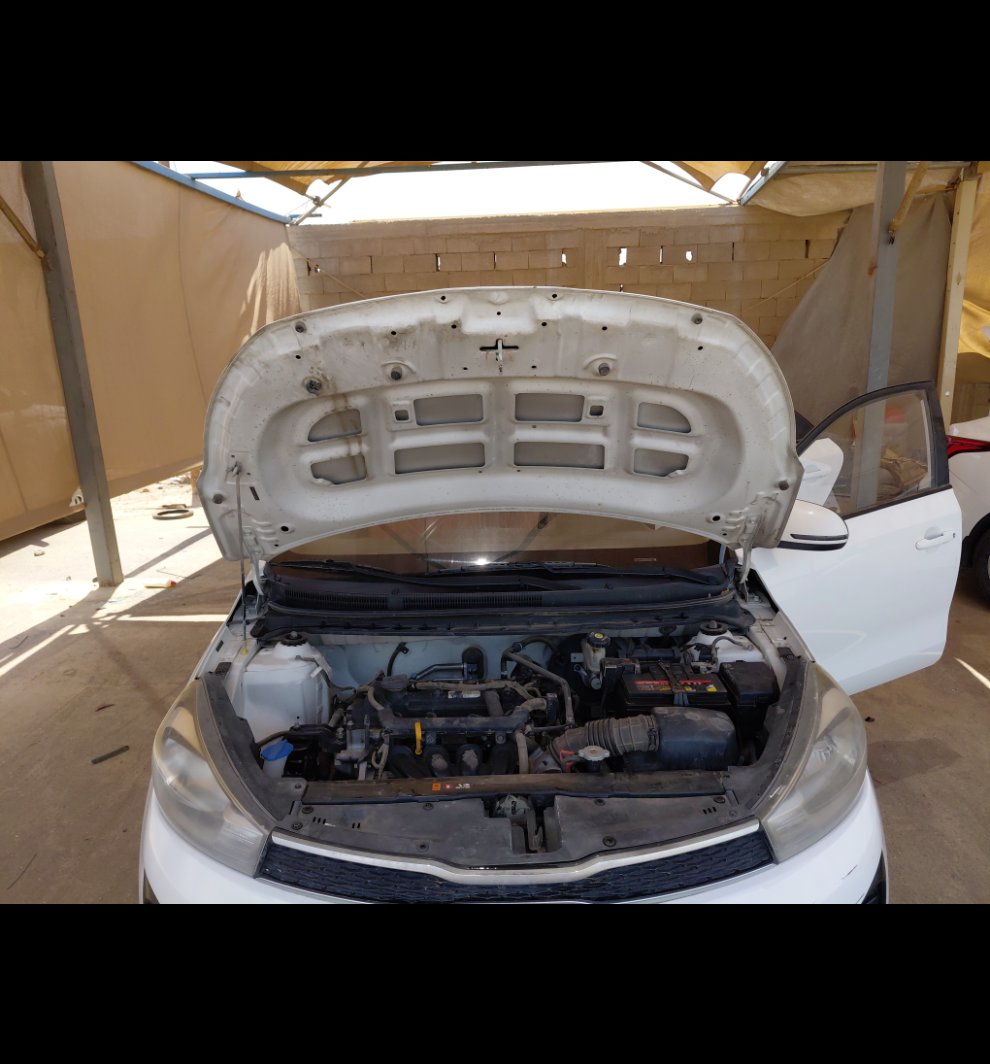 كيا بيجاس FLEET 2020 image
