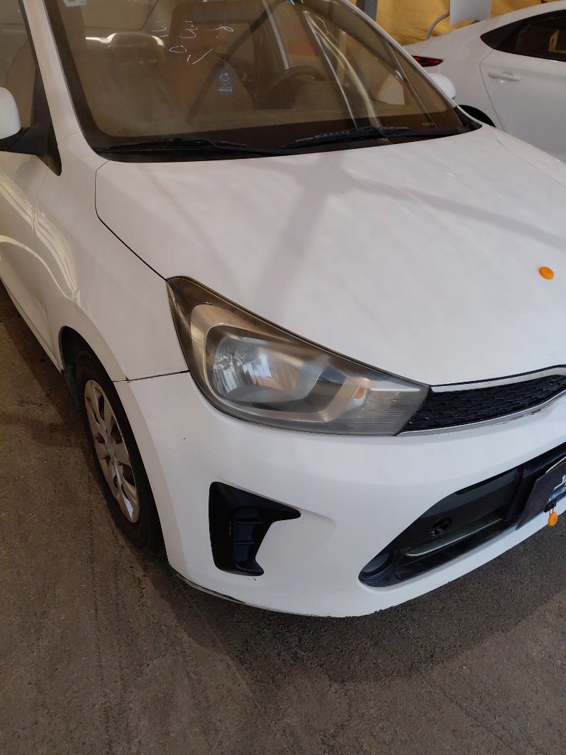 كيا بيجاس FLEET 2020 image