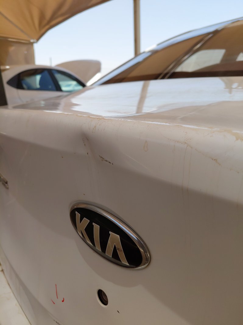 كيا بيجاس FLEET 2020 image