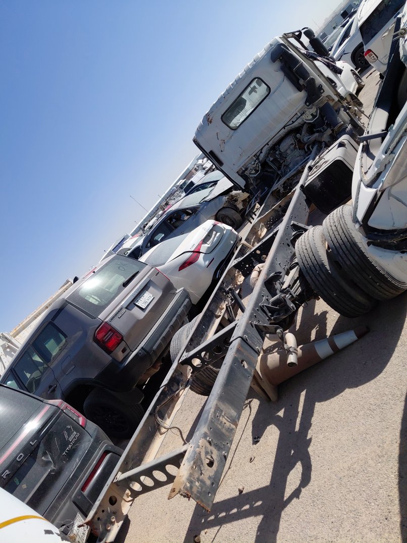 ايسوزو ديينا  2023 image