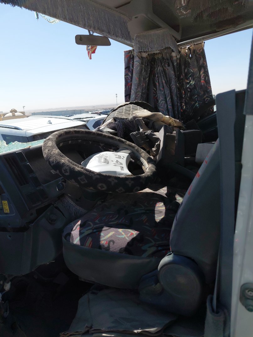 ايسوزو ديينا  2023 image